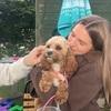 Elin: Dog walker/sitter & boarding in Balham