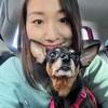 Lai Ming: Experienced Pet Carer also with Dog grooming certificate