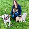 Emily : Doggie days boarding/house sitting & daycare service 