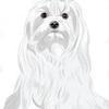 Toby avatar