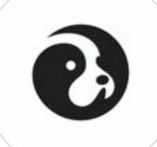 Codie avatar