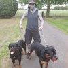 Keith : Confident and caring Dog walker/Sitter available to suit.