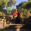 Holly: Dog boarding in rural home