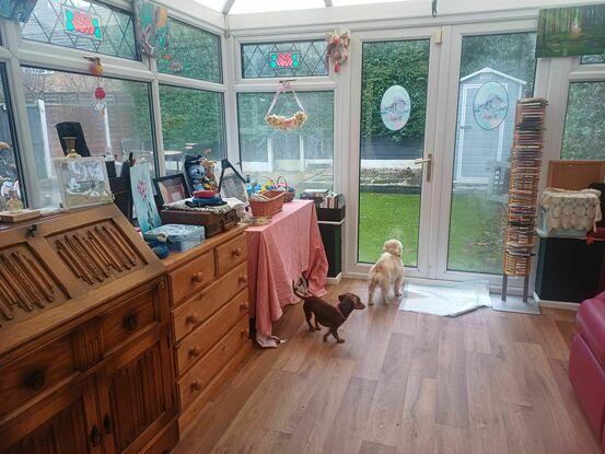Play area for dog