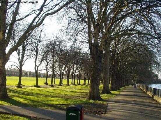 Local park!