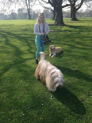 Walking Keltie and Bella 