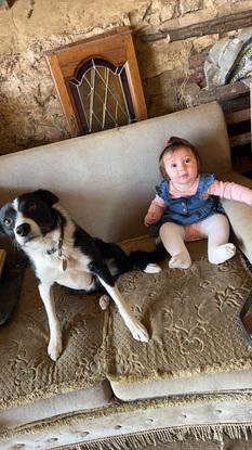 Our friends collie while they were on honeymoon