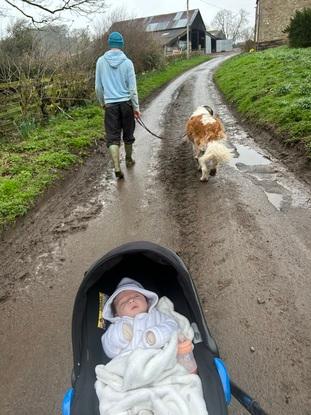 Our St Bernard at the farm