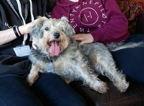 Ruby being pampered by me and my sister