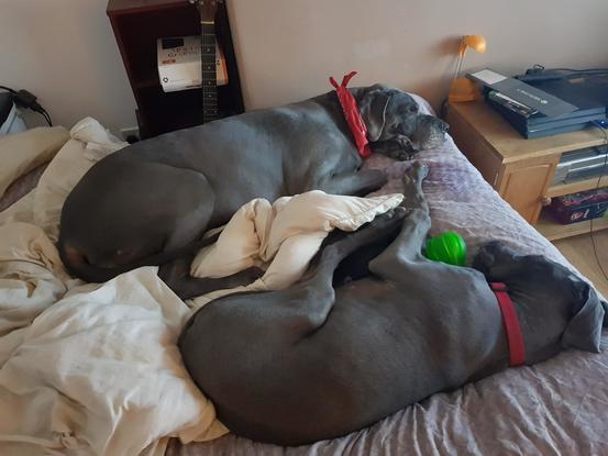 Just lazing about