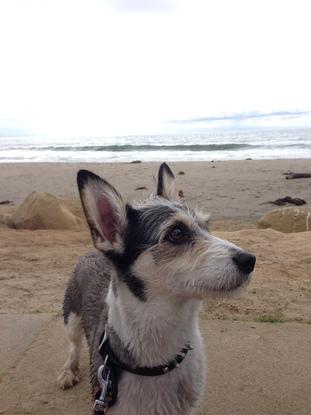 Ray day at the beach