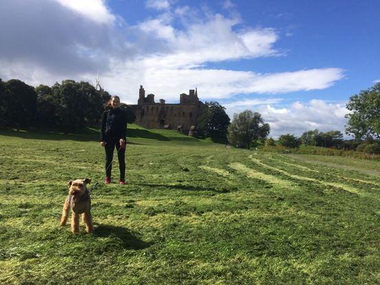 Molly in her favourite walk