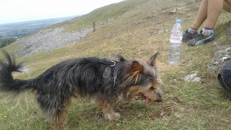 Gino, on our walk on the mendips!