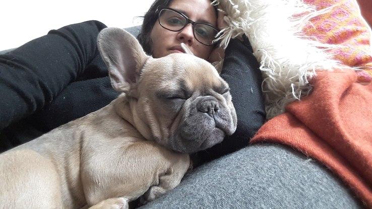 Louis (London)