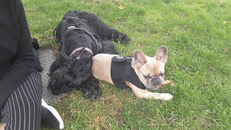 Louis and Cleo (London)