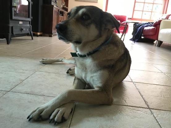 Starkey looking elegant