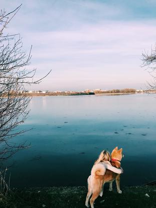 Romantic walk with Hiro