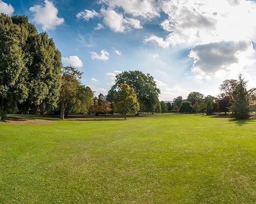 Plenty of green space to play and walk!