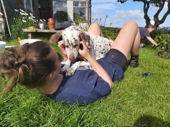Our family dog enjoying extra cuddles