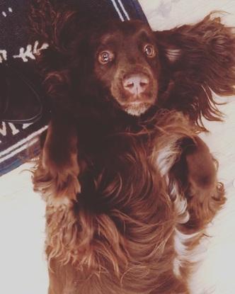 Poppy❤️