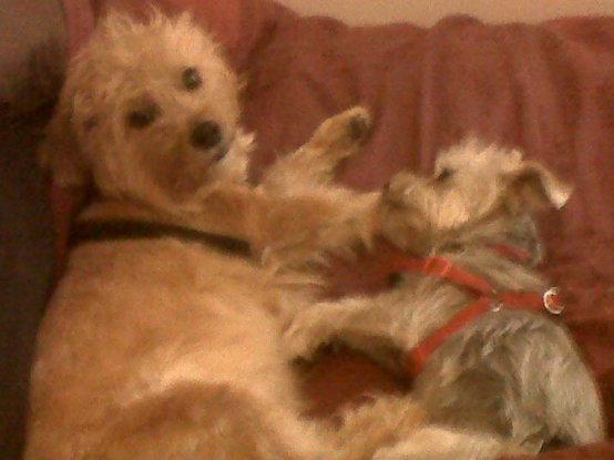 Oscar and Chanti