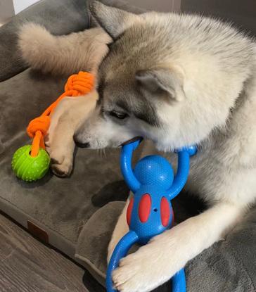Axel playing in his home