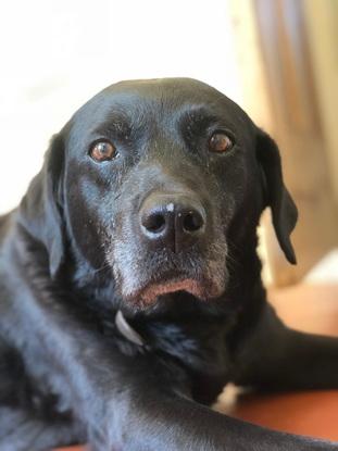 Milly