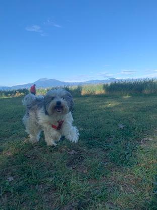 Afternoon at the park