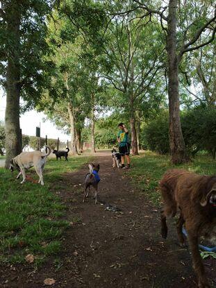 With the gang in West London