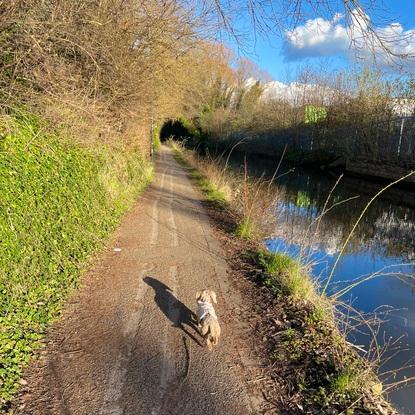 Walk down our local canal lesss than 5 minutes walk away