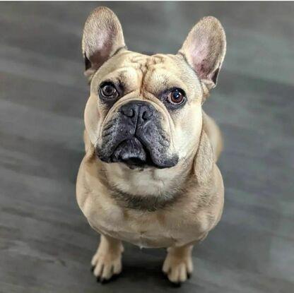 Kilo ❤️