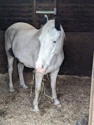 Feed visit for this beautiful boy