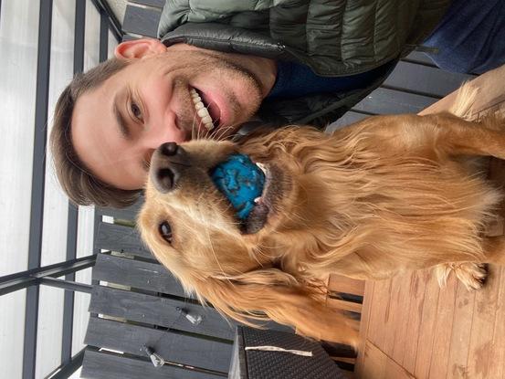 Hero - dog sitting for his family