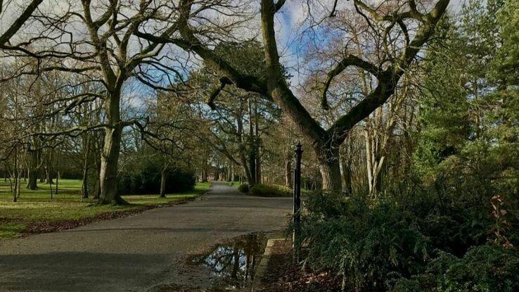 I live beside Ormeau Park