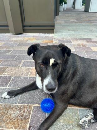 Taking a break from the ball