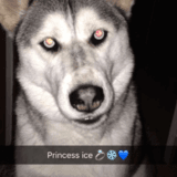 ice avatar