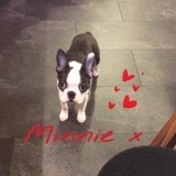 Minnie avatar