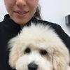 rowena: wimbledon dog care and groomer