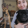 Alice: Doggy Demands - Walkies, pupcakes and donuts!