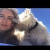 Carolina: friendly and loving dog sitter