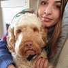 Nina: Dog lover in Manchester 