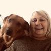Helen : Dog Companion in south Bristol BS13 