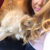 Corrina: Dog sitter in Bristol