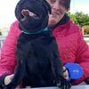 Naomi: Pet sitter and dog walker in Blackpool