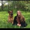 Georgia: Dog sitter in Royal Leamington Spa