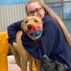 Abbie: Dog sitter in Ipswich