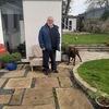 Brian: Dog sitter in Crossgar/Downpatrick 