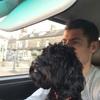 Jonathan: Dog sitter in Harrogate