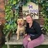 Ellie: Dog sitter in Liverpool