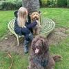 Hannah: Hannah’s Hounds Herts. Ensuring your dog is well looked after whilst your away so you don’t have to worry about a thing!